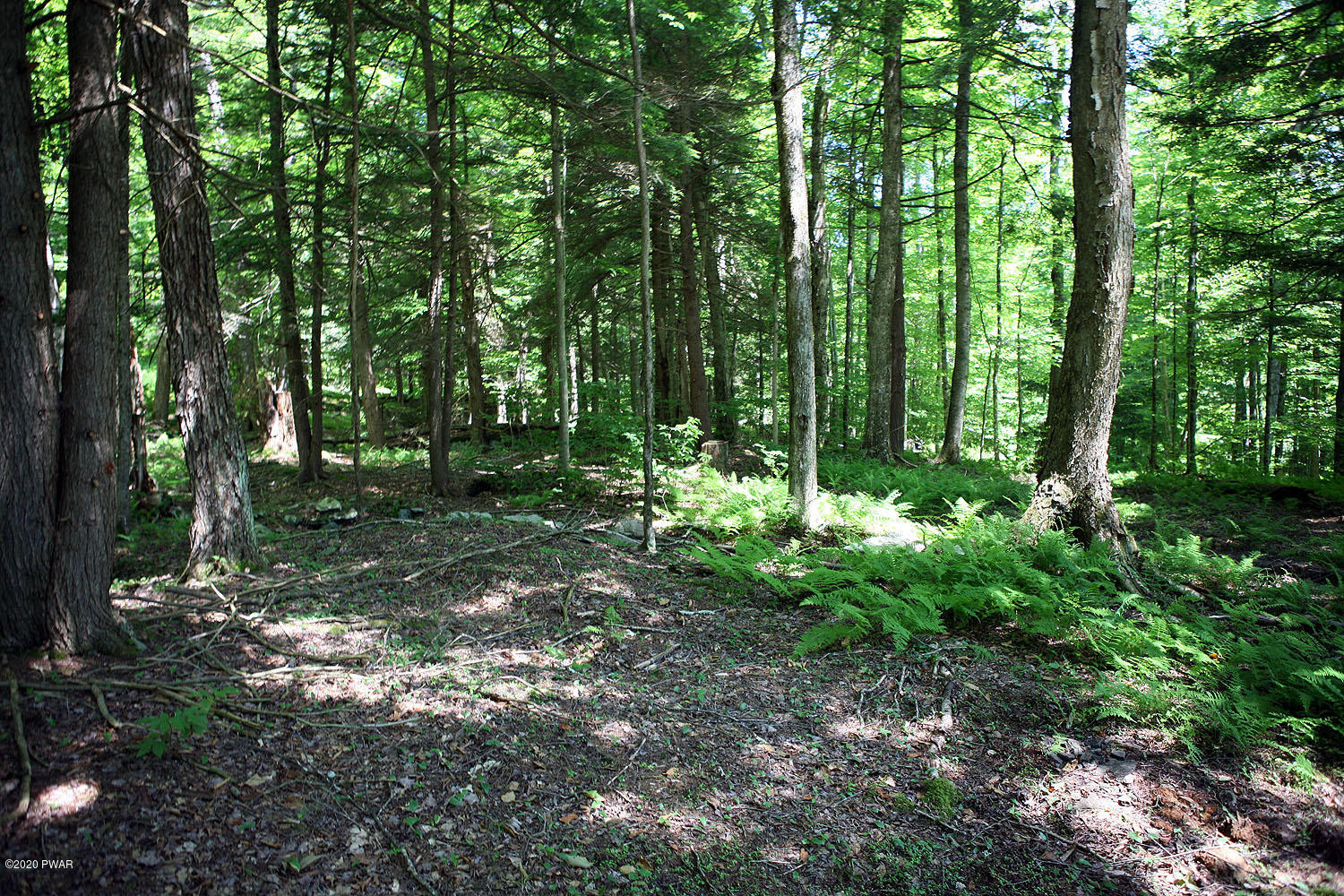 0 Braman Road Equinunk, PA 18417 - Photo 16 of 36