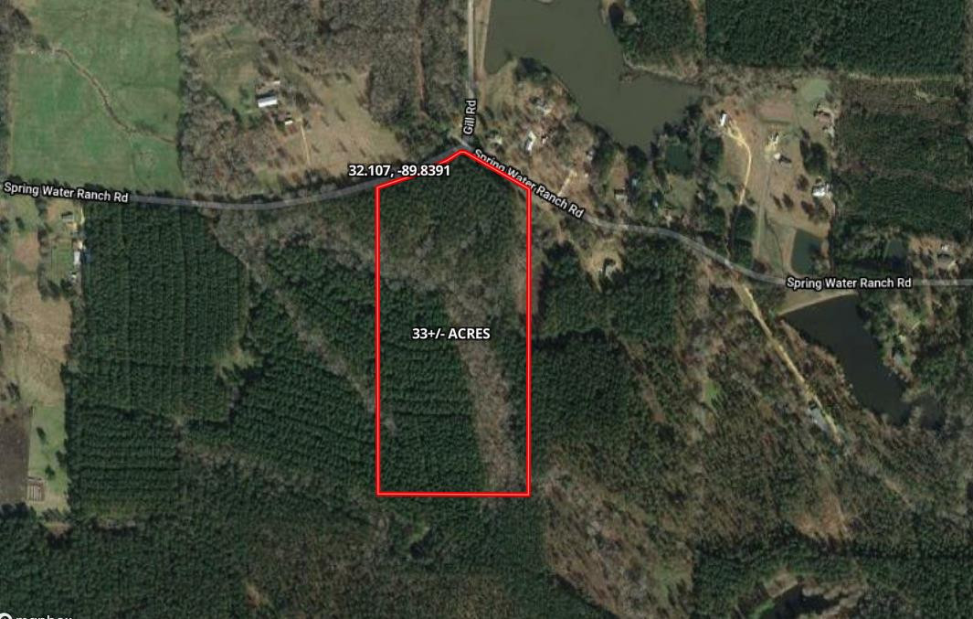 0 Spring Water Ranch Road, Unit 1 Mendenhall, MS 39114 - Photo 8 of 8 Photo 8