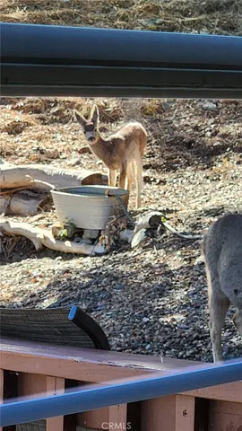 a view of house with outdoor space