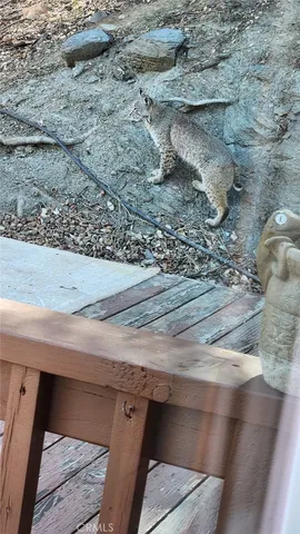 a view of a garden with potted plants