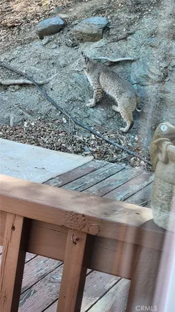 $729,900 | 5180 Lone Pine Canyon Road, Wrightwood, CA 92397