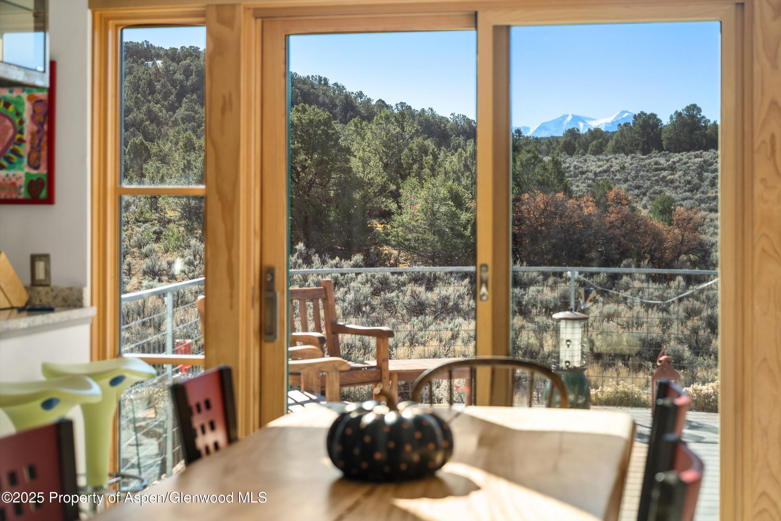 525 Cactus Flats Road Carbondale, CO 81623 - Photo 13 of 50 a view of a living room and a window