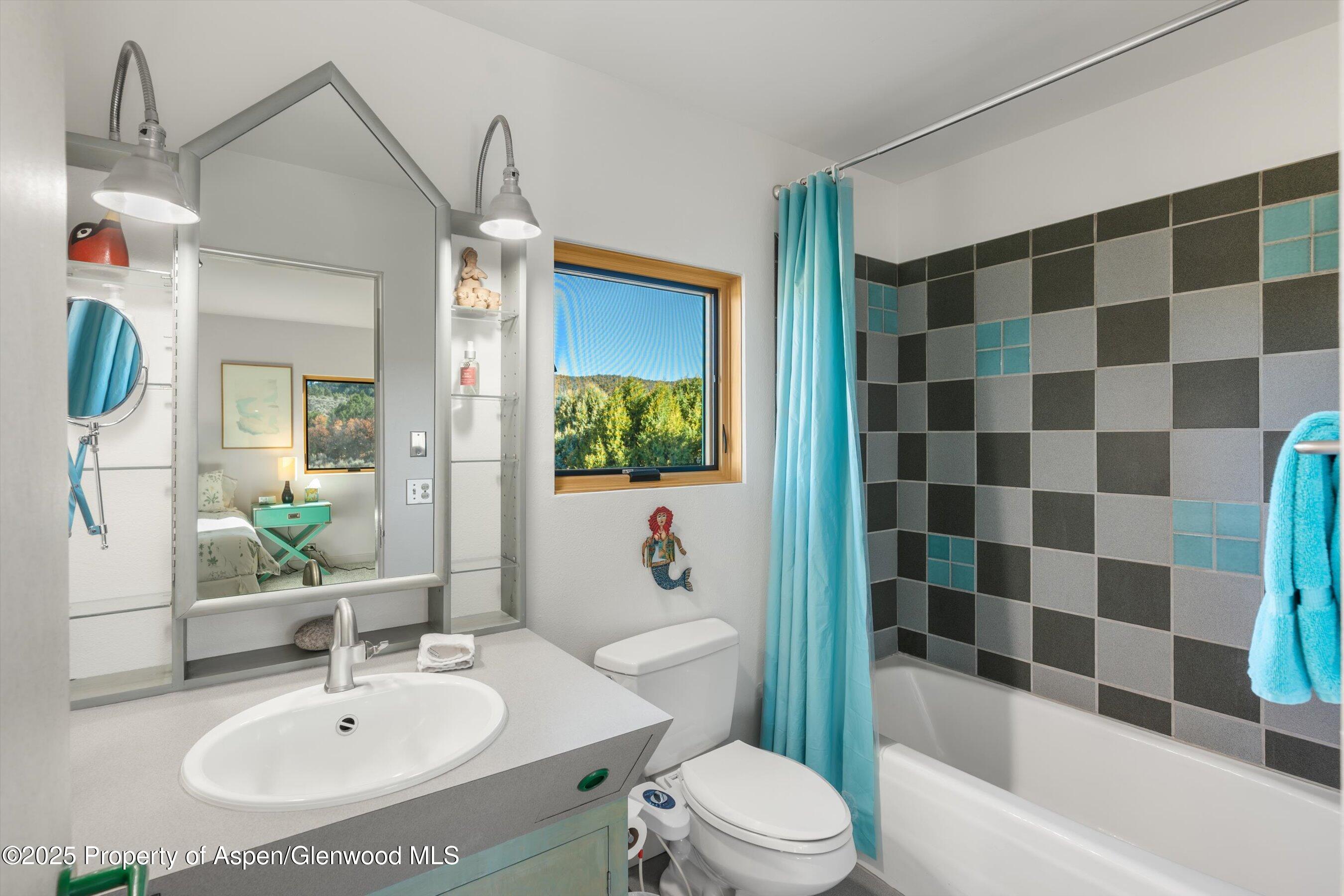 525 Cactus Flats Road Carbondale, CO 81623 - Photo 19 of 50 a bathroom with a sink and a mirror
