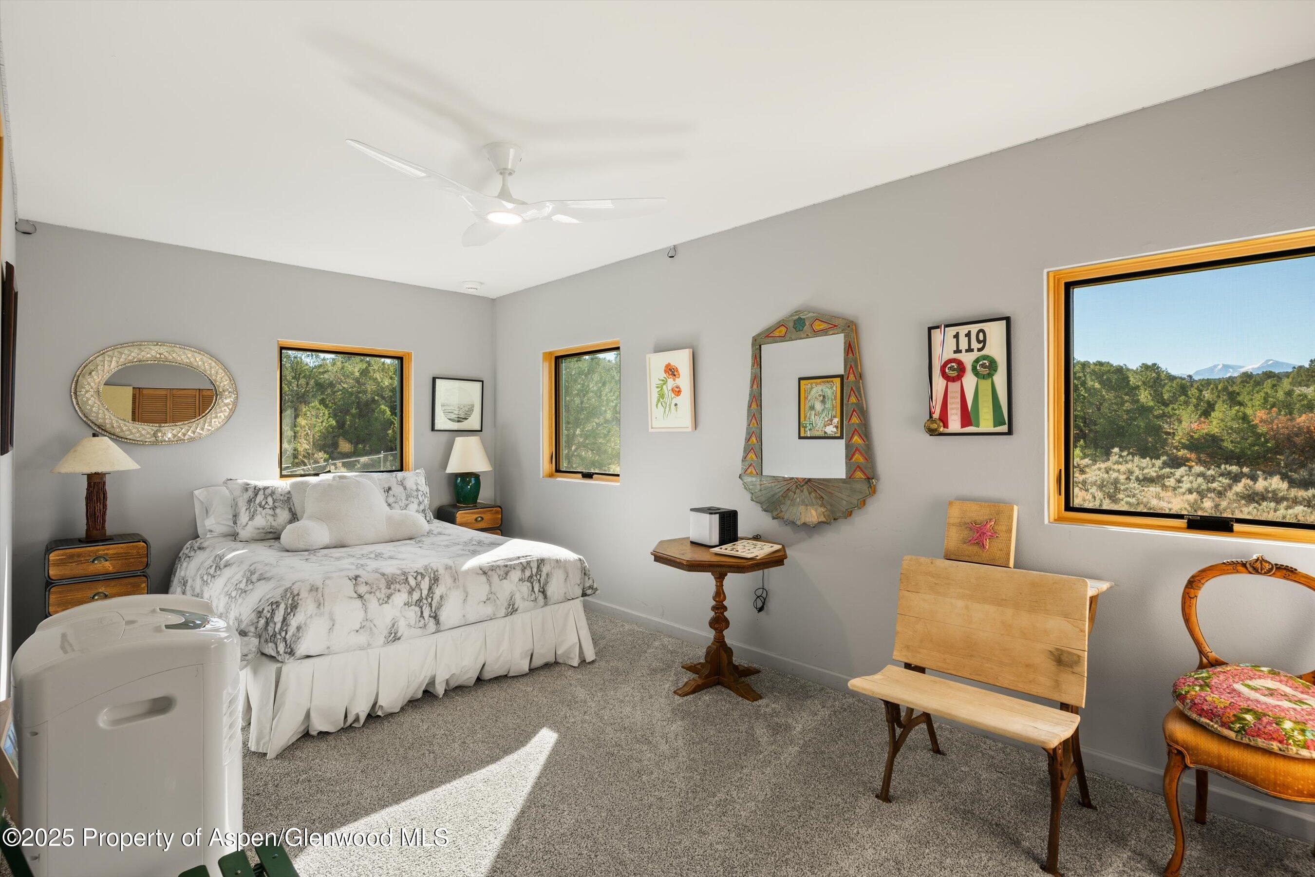 525 Cactus Flats Road Carbondale, CO 81623 - Photo 21 of 50 a bedroom with a bed chair and window