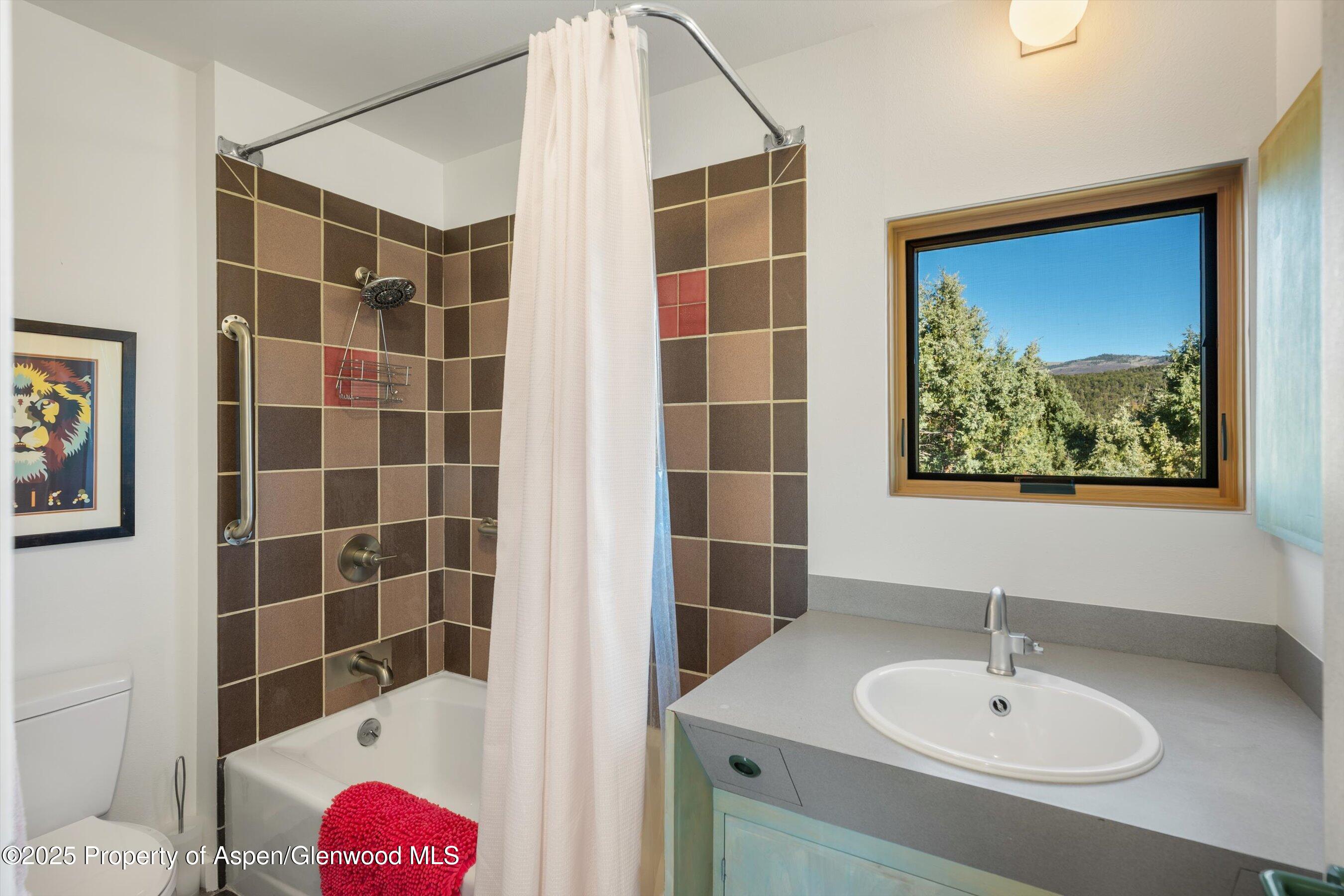 525 Cactus Flats Road Carbondale, CO 81623 - Photo 23 of 50 a bathroom with a sink and a mirror