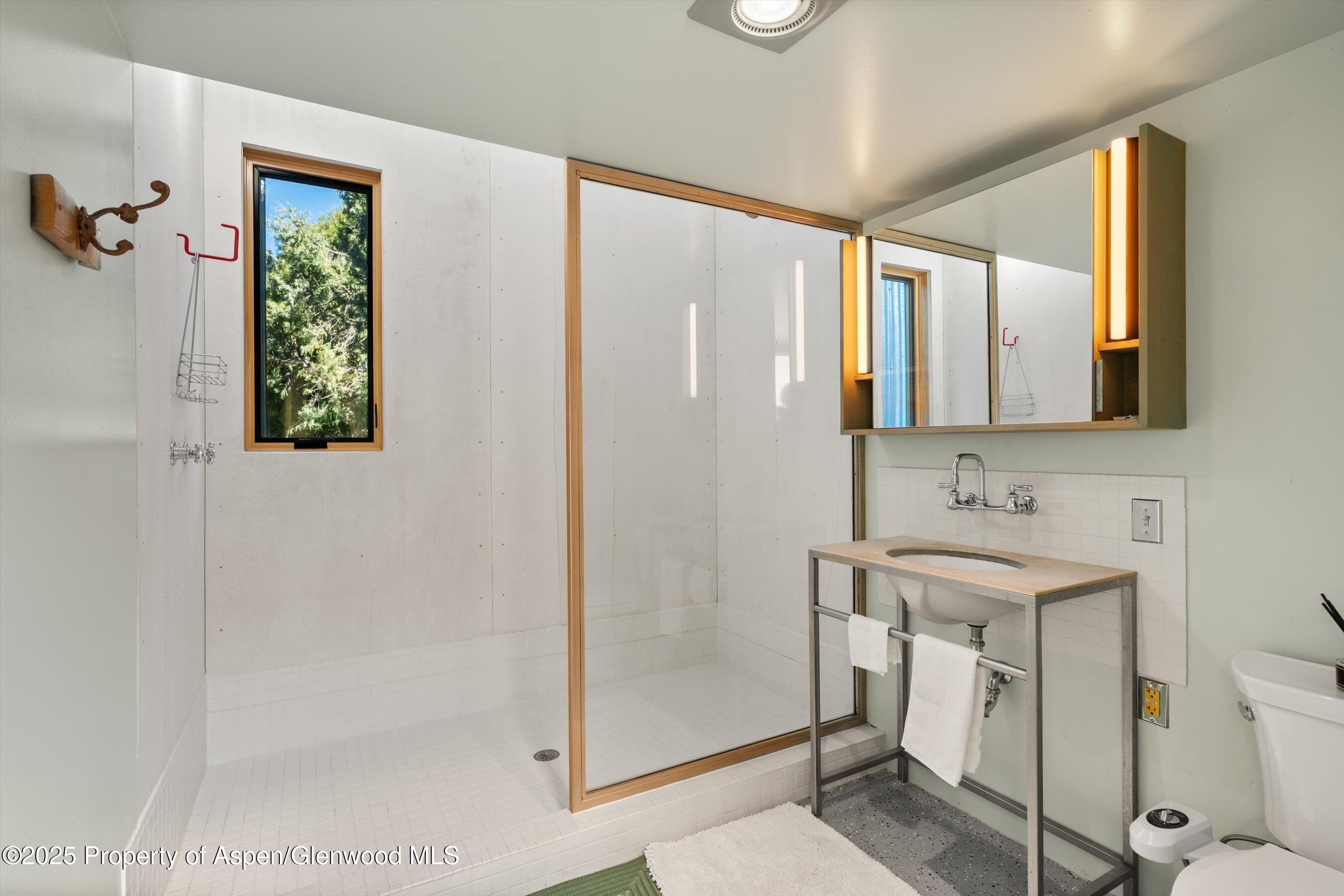 525 Cactus Flats Road Carbondale, CO 81623 - Photo 33 of 50 a bathroom with a toilet a sink a mirror and shower