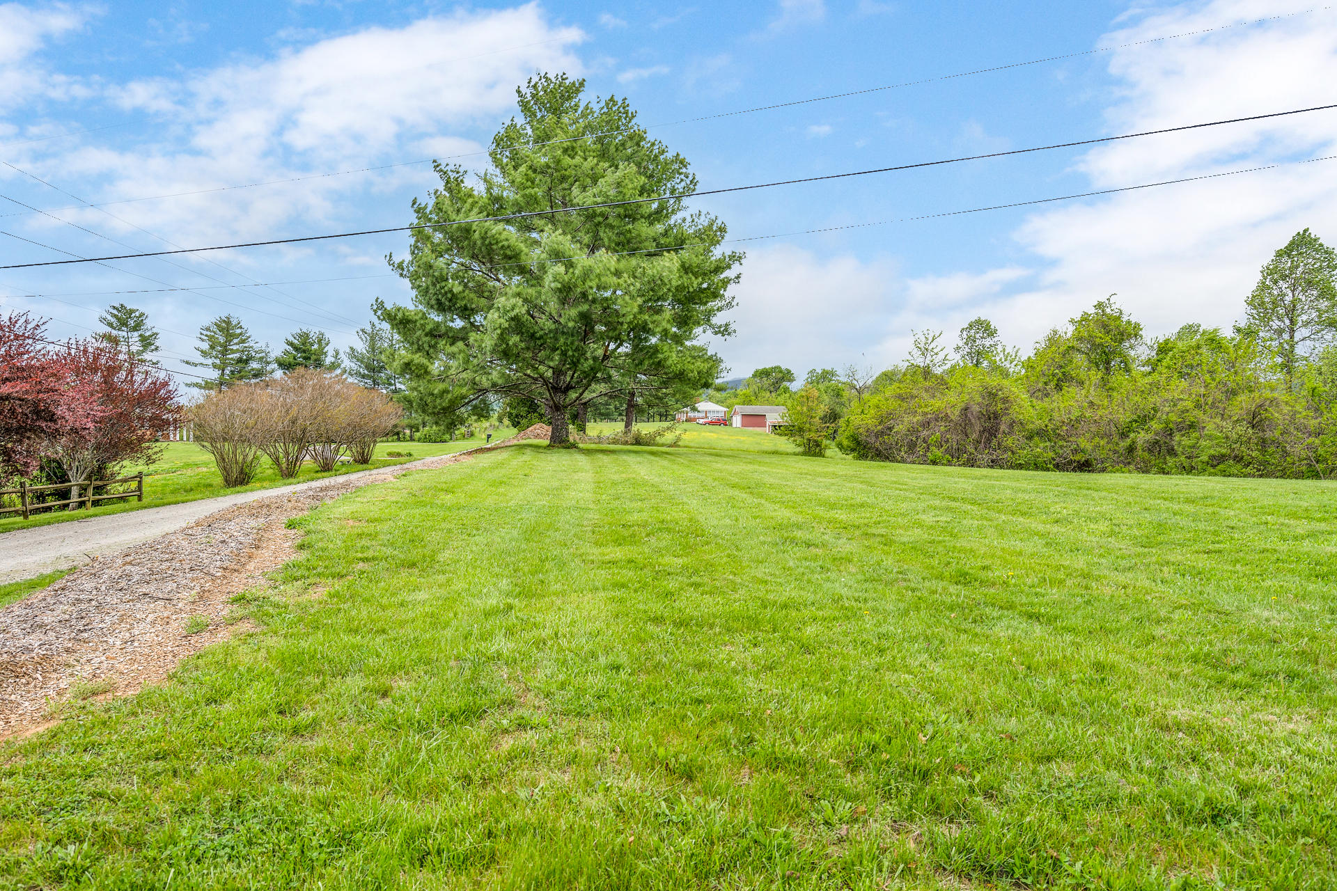 1672 Blankenship Road Goodview, VA 24095 - Photo 35 of 39 a view of a field of grass and trees