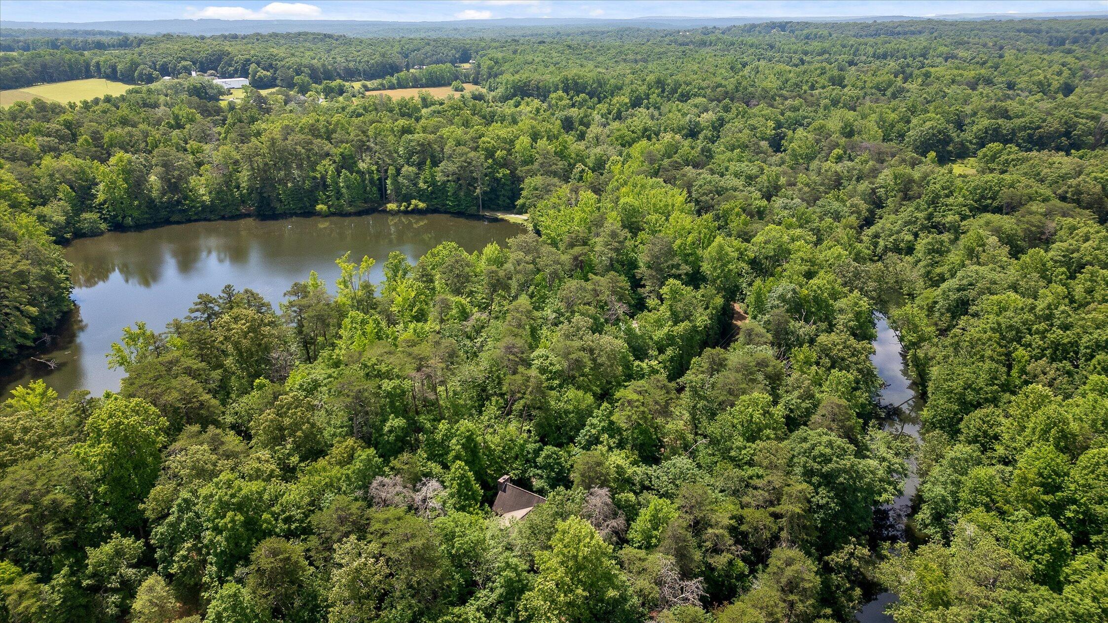 390 Moon Lake Road Mentone, AL 35984 - Photo 59 of 60 04-Moon Lake-3
