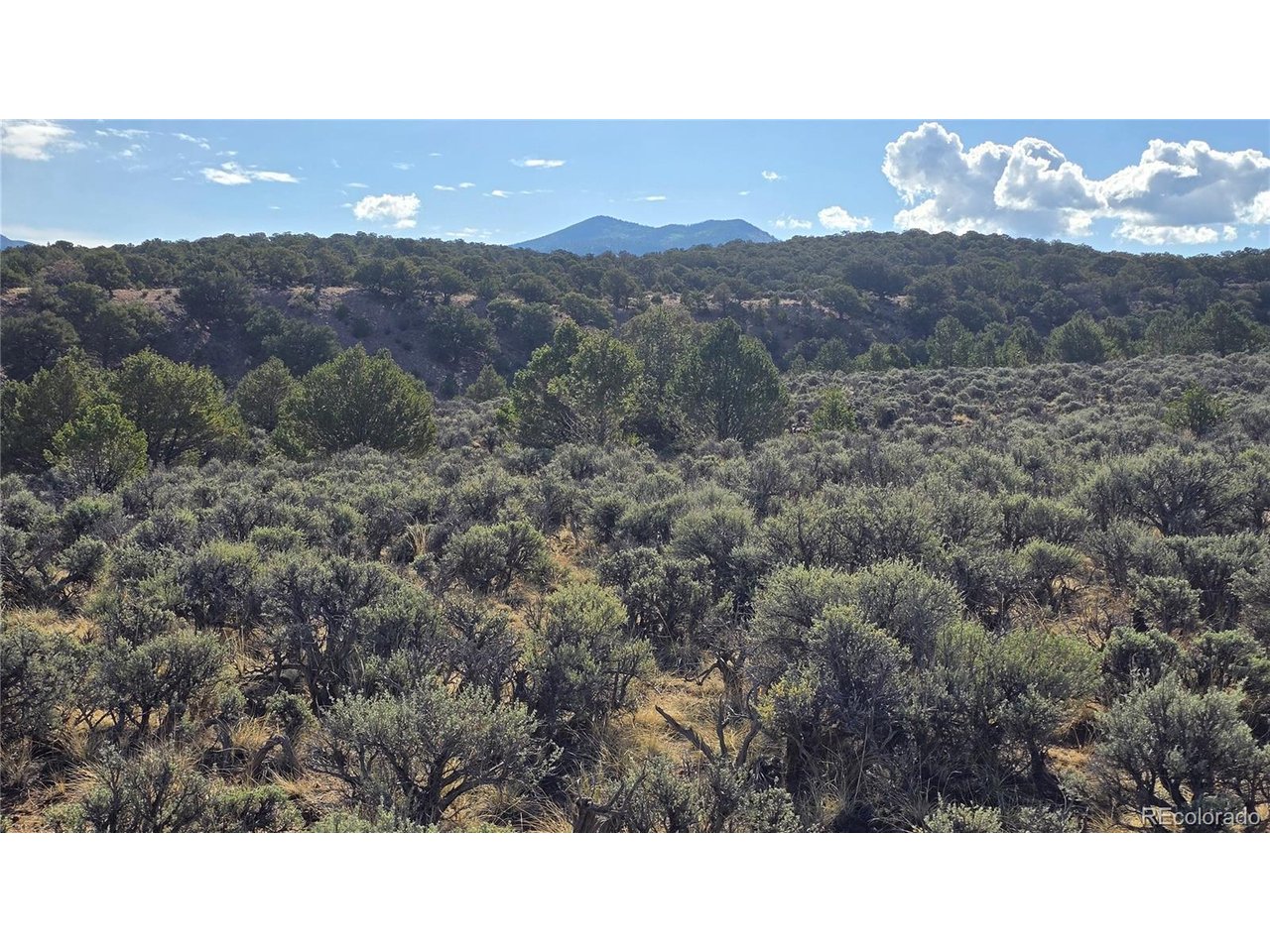 7340 Sweany Road Fort Garland, CO 81133 - Photo 28 of 31