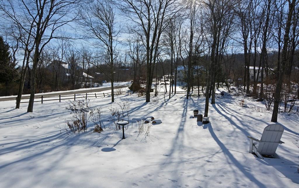 307 Blue Run Road Cheswick, PA 15024 - Photo 22 of 23 Gallery Image 22