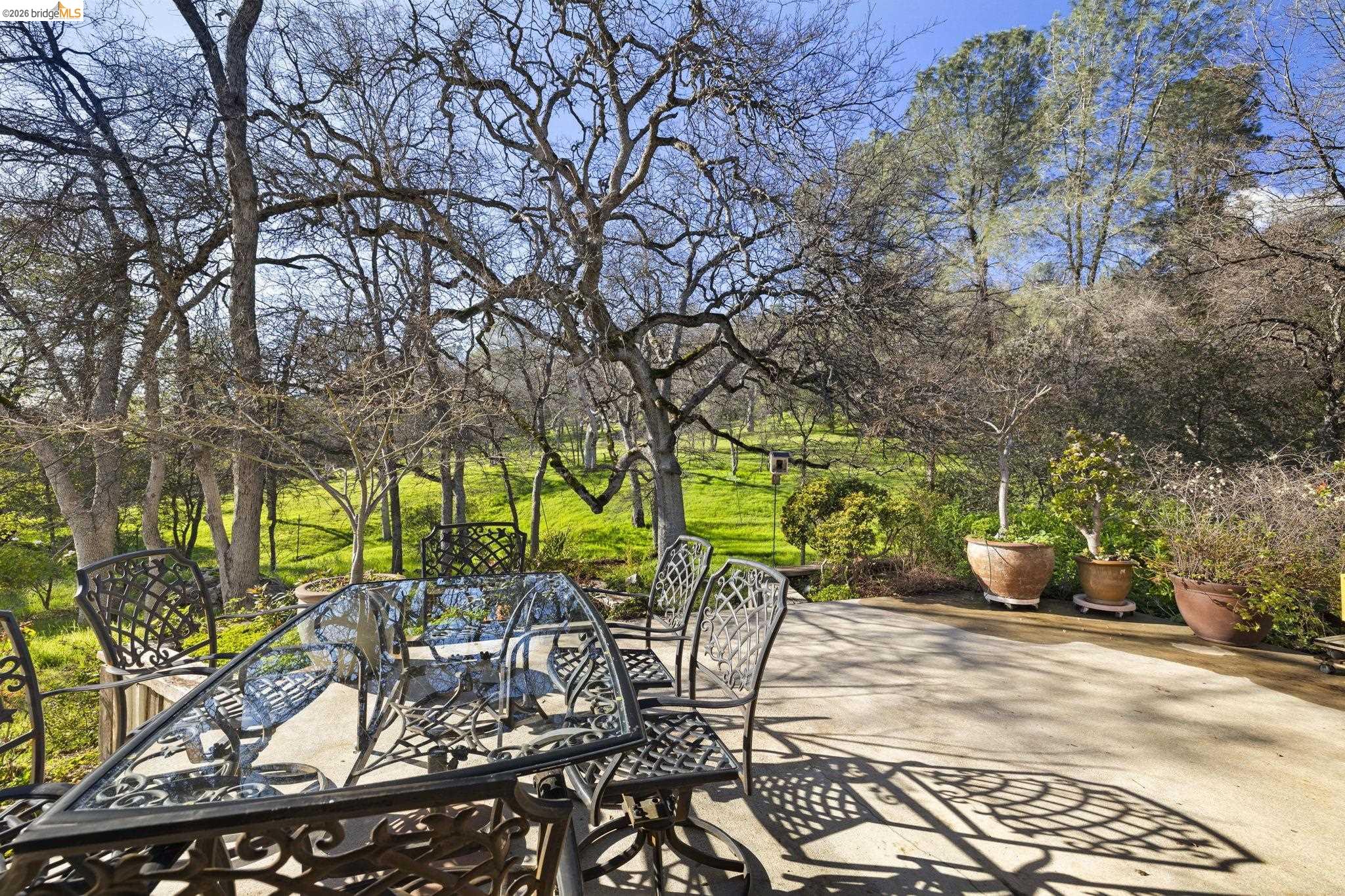 18558 Olov Road Sonora, CA 95370 - Photo 37 of 45 a view of a patio with table and chairs potted plants and large tree