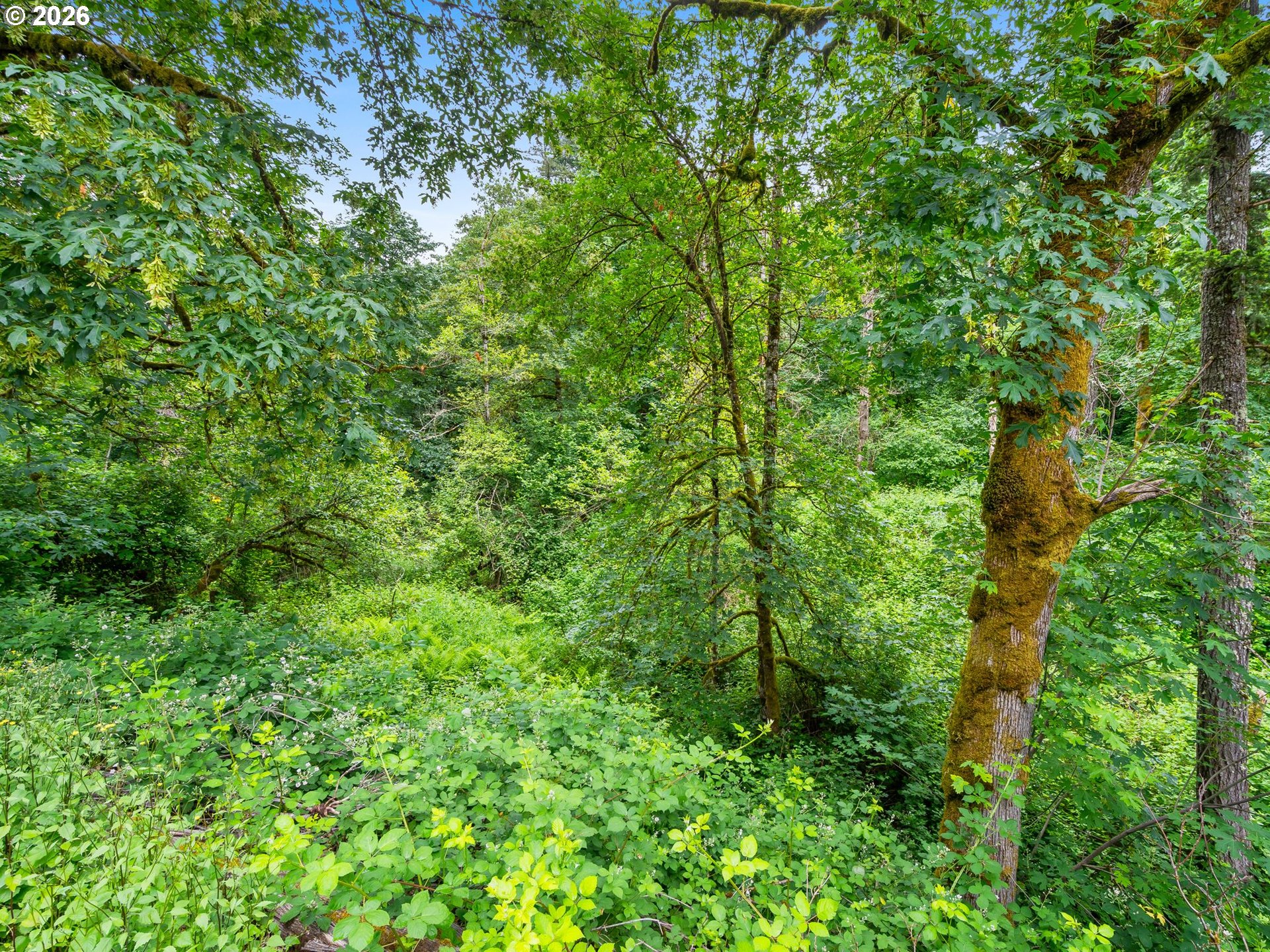 16110 South Maplelane Road Oregon City, OR 97045 - Photo 40 of 47