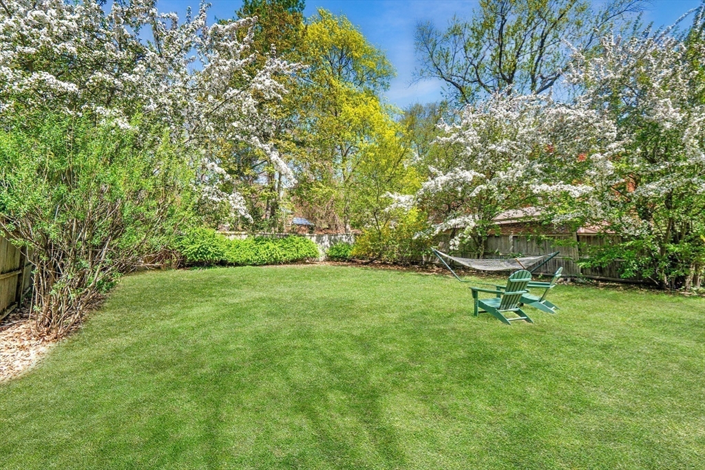 36 Blake Road Brookline, MA 02445 - Photo 3 of 34 a garden with a bench and some trees