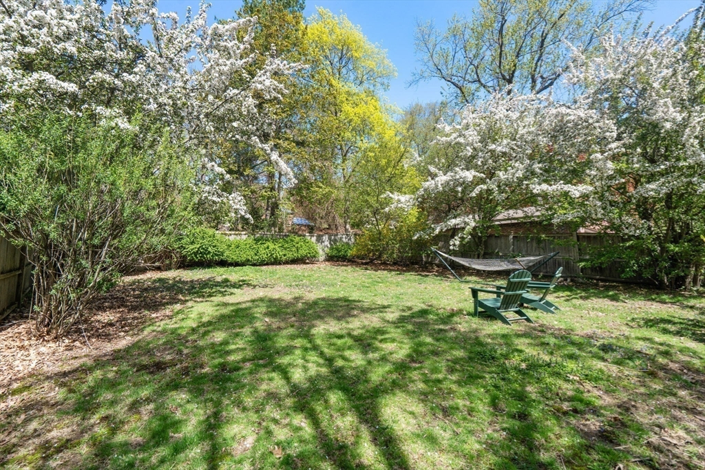 36 Blake Road Brookline, MA 02445 - Photo 31 of 34 a backyard of a house with yard and outdoor seating