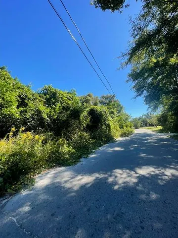 a view of a yard with a tree