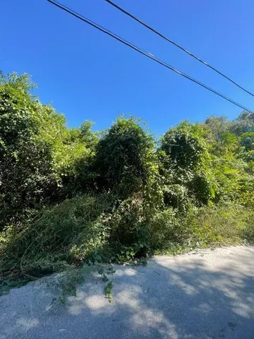 a view of a large yard with lots of green space