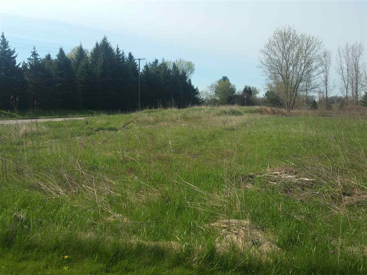 0 Slating Lane Romeo, MI 48065 - Photo 2 of 4 31308397-1.JPG