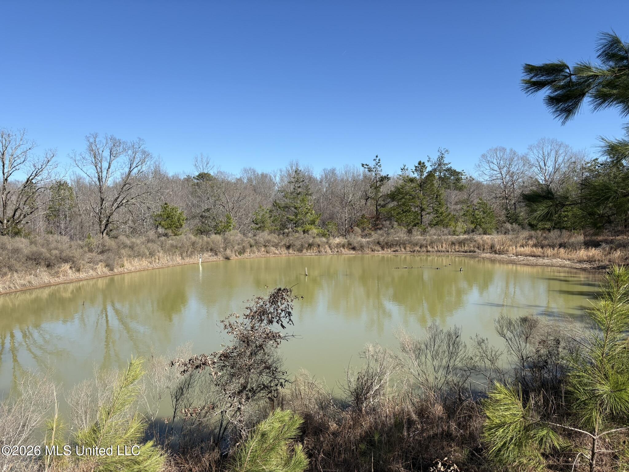 Nelia Road Grenada, MS 38901 - Photo 1 of 1 Pond