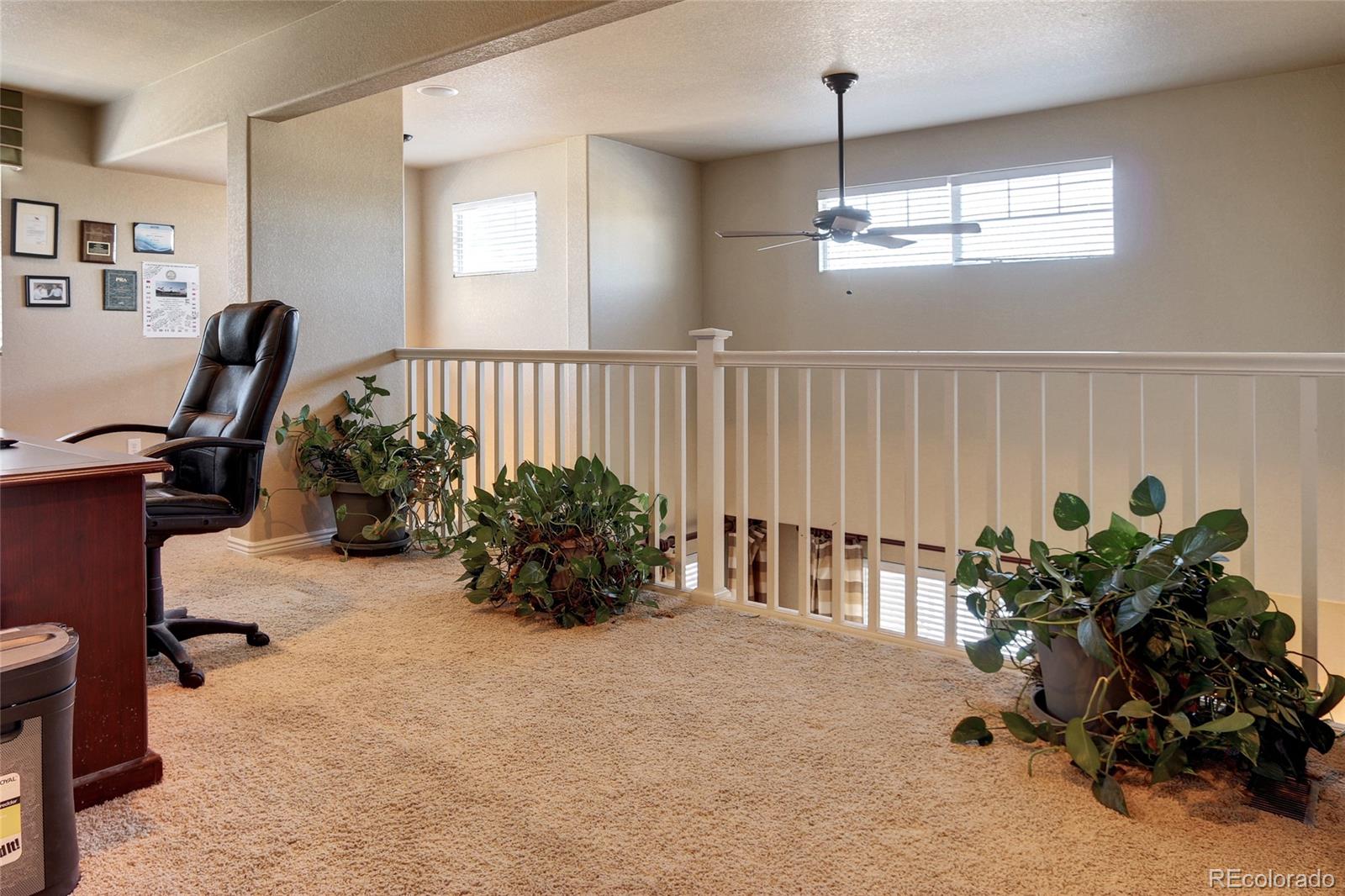 8074 Raspberry Drive Frederick, CO 80504 - Photo 10 of 23