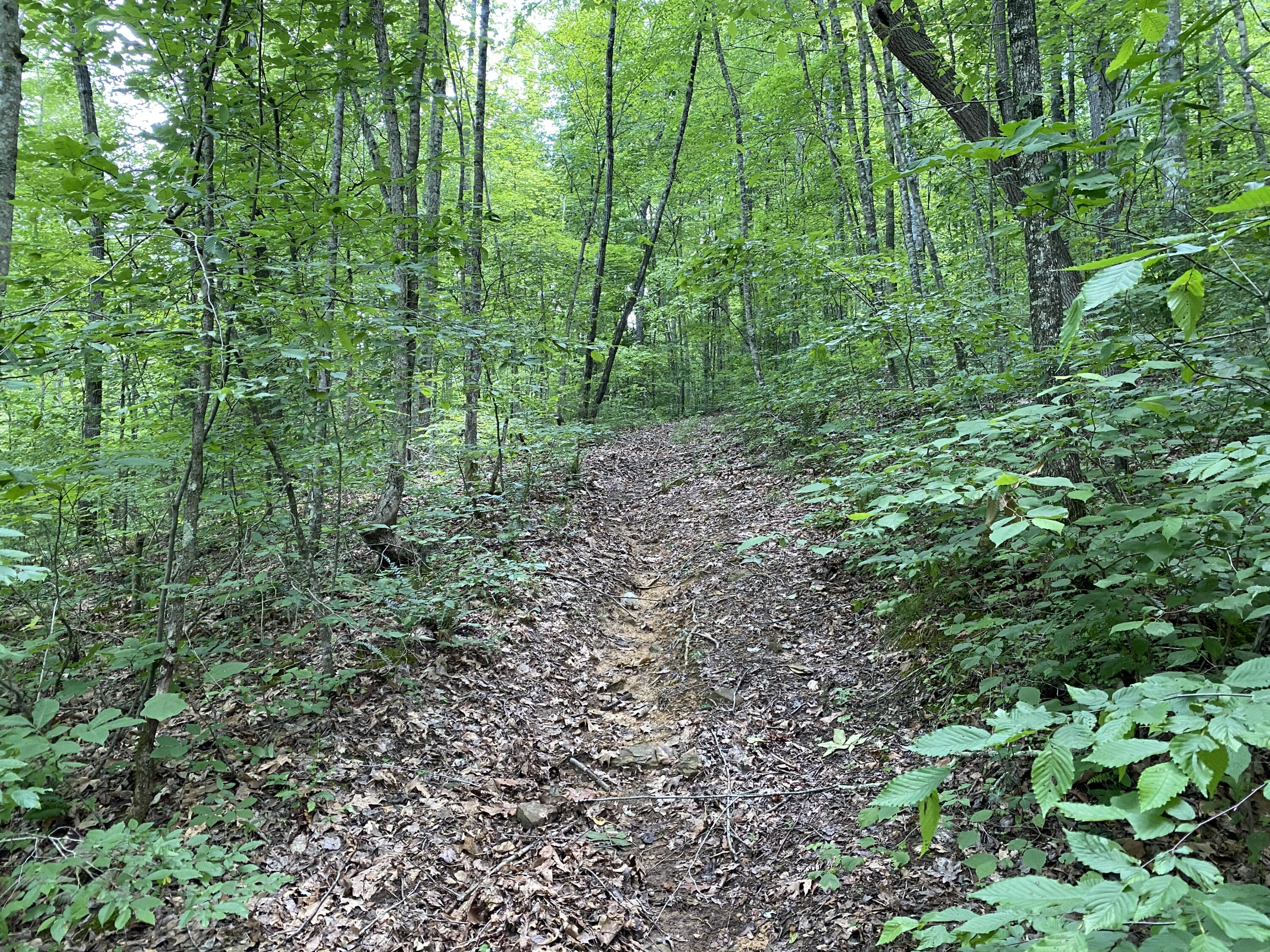3360 Chaney Ridge Road London, KY 40741 - Photo 20 of 34 D56DCB2E-83BF-4878-BDDB-62CE93362A62