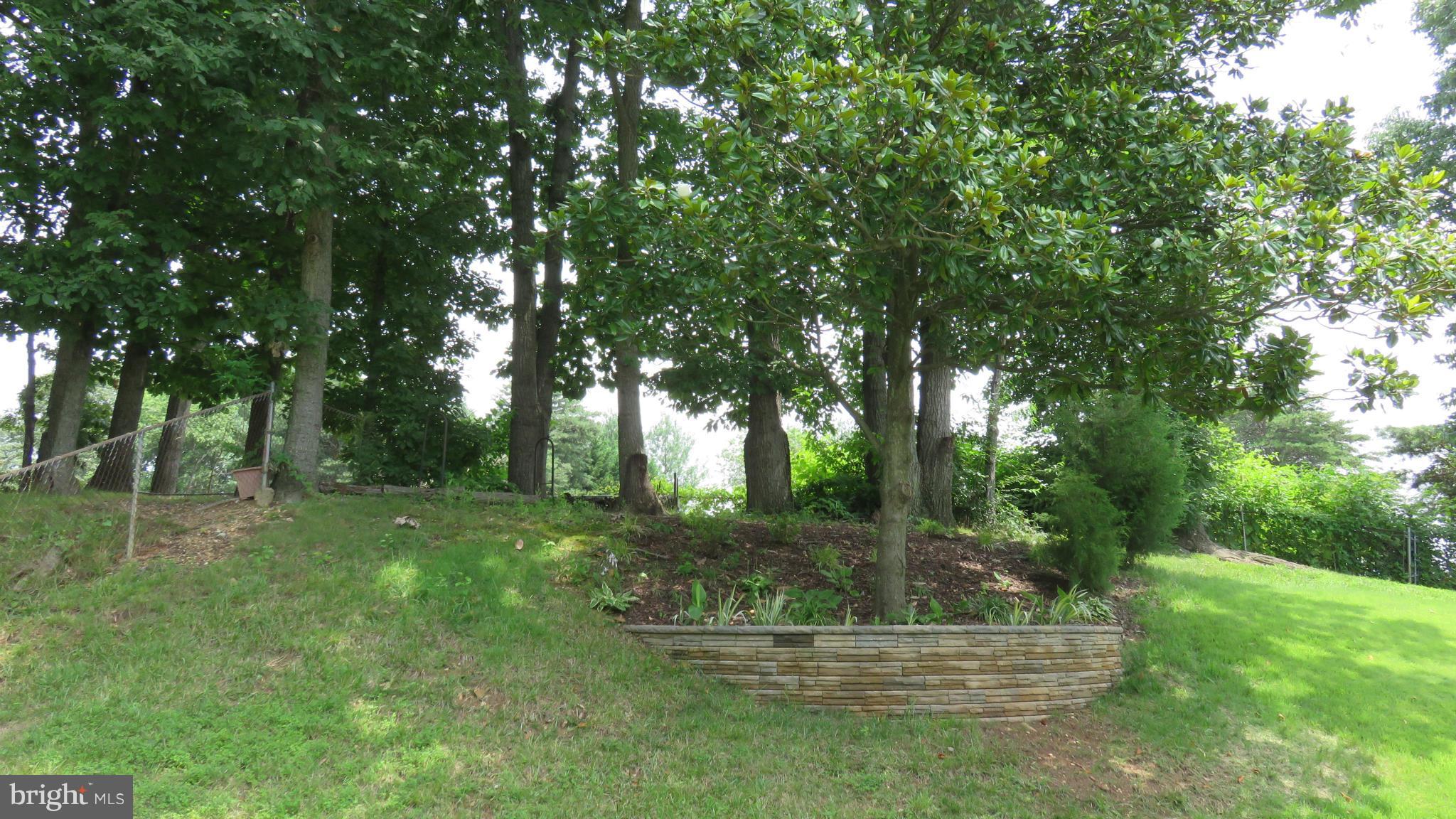 12905 Sturbridge Road Woodbridge, VA 22192 - Photo 22 of 30 View rear trees