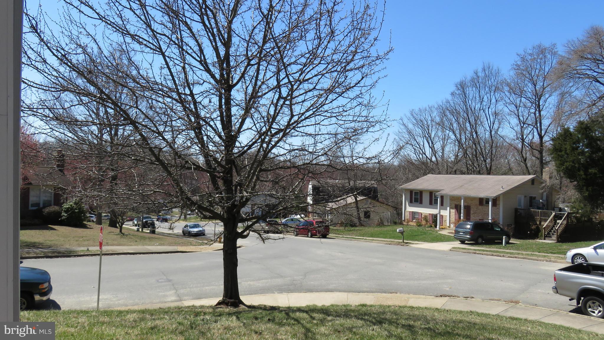 12905 Sturbridge Road Woodbridge, VA 22192 - Photo 30 of 30 View of front street