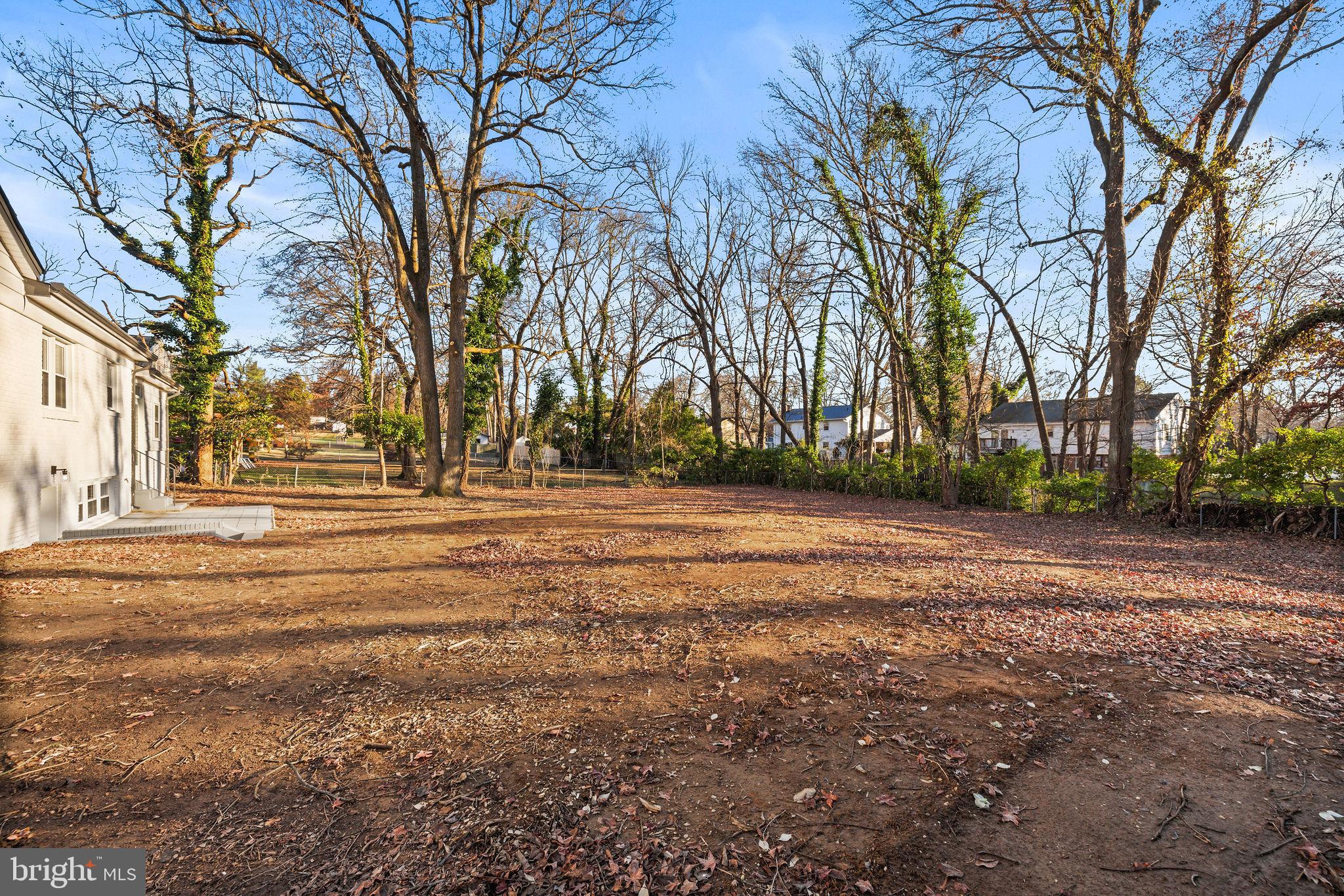 4405 Laurel Road Alexandria, VA 22309 - Photo 48 of 53