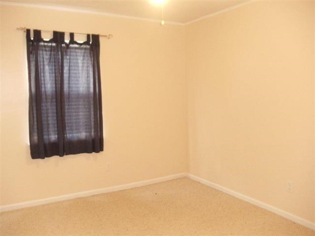 525 Sand Ridge Road Hubert, NC 28539 - Photo 6 of 11 Additional Photo