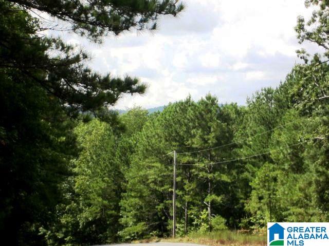8076 Clairmont Springs Road, Unit 36 ACRES Lineville, AL 36266 - Photo 7 of 7
