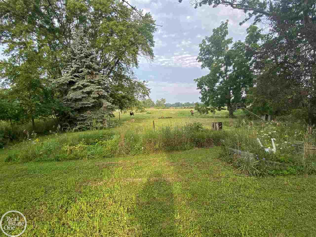 8914 Melvin Road Melvin, MI 48454 - Photo 6 of 15 50051839-5.JPG