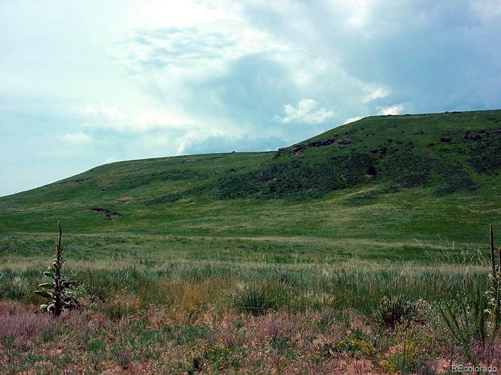 4 Twin Bluffs Road Larkspur, CO 80118 - Photo 2 of 5 a view of a pathway both side of grassy field with shrub