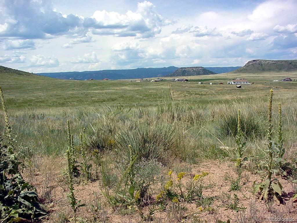 4 Twin Bluffs Road Larkspur, CO 80118 - Photo 3 of 5 a view of a lake with a big yard