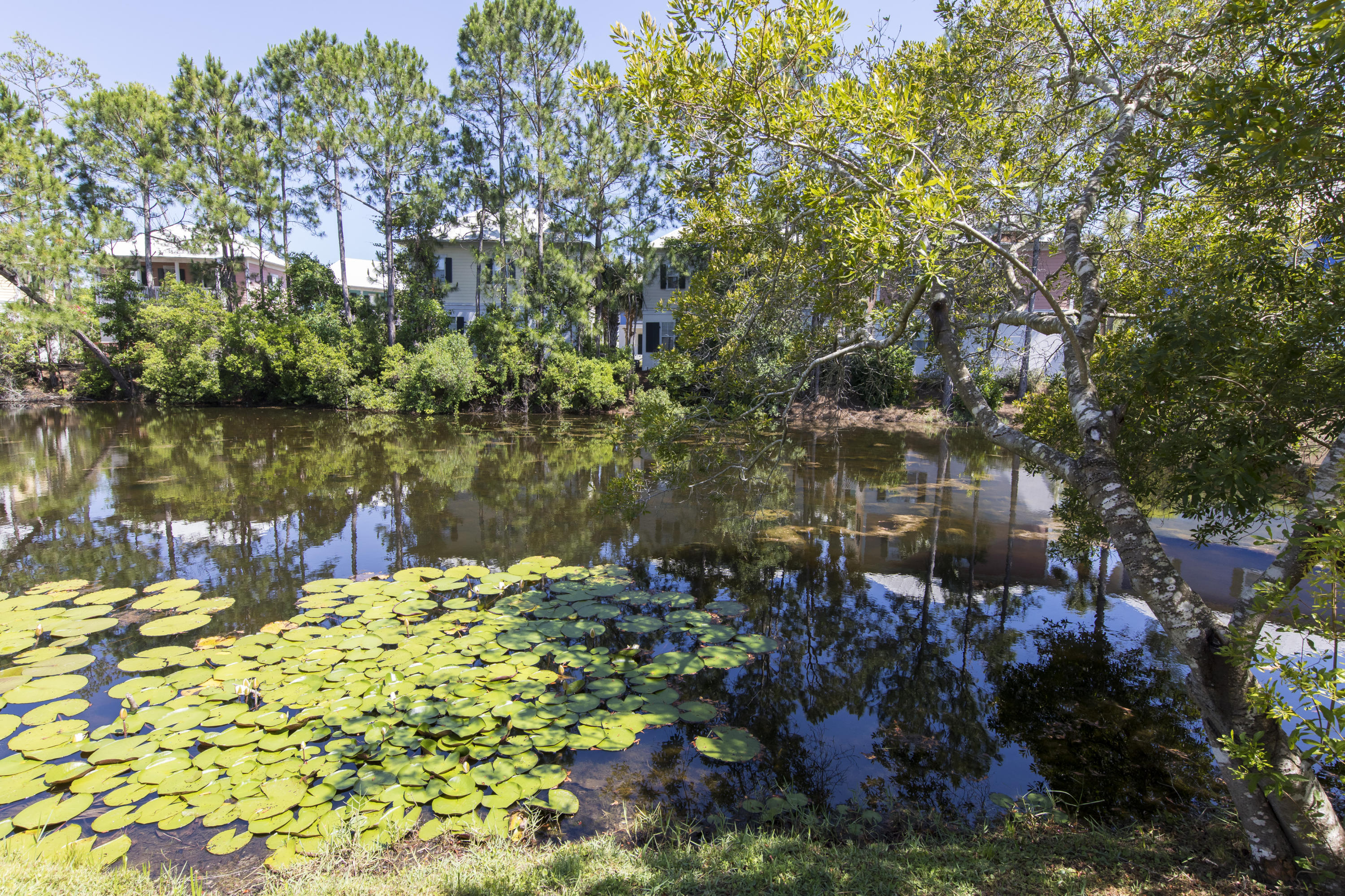 280 Somerset Bridge Road Santa Rosa Beach, FL 32459 - Photo 30 of 31 280-somerset-ridge-027