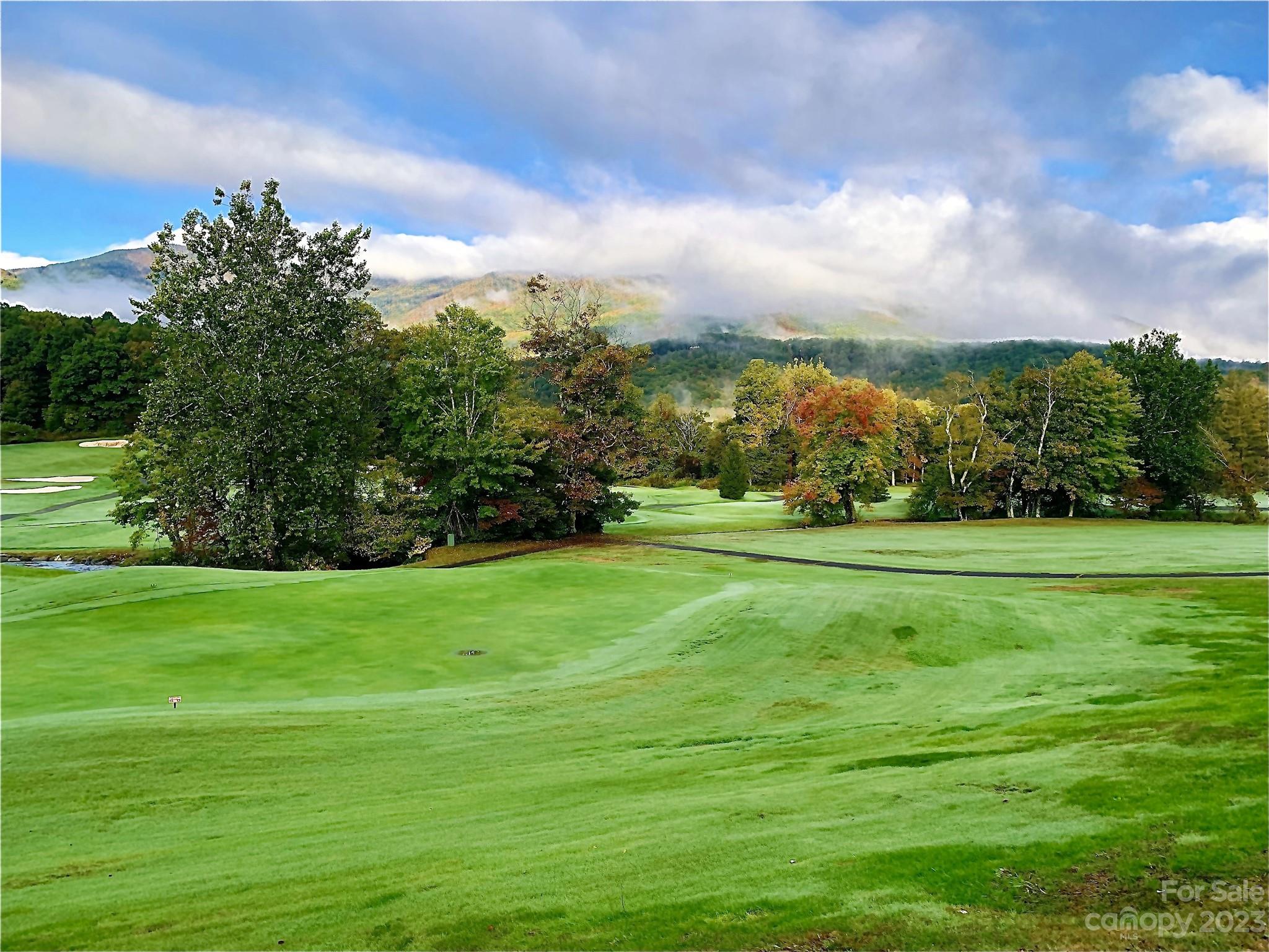 335 Mount Mitchell Drive, Burnsville, NC 28714 | Compass