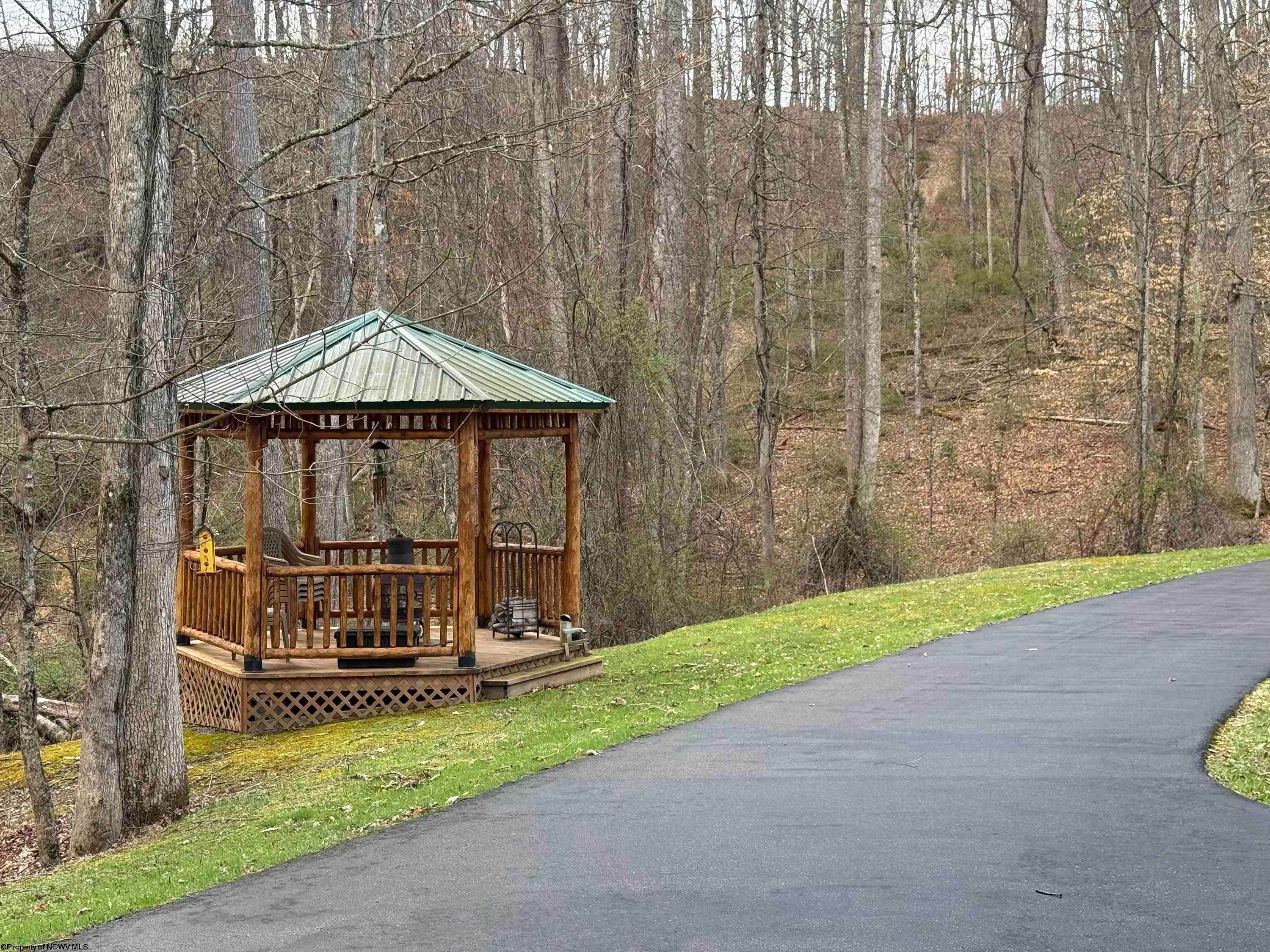 250 Timber Rdg Drive Elkins, WV 26241 - Photo 45 of 50 Gallery Image 45