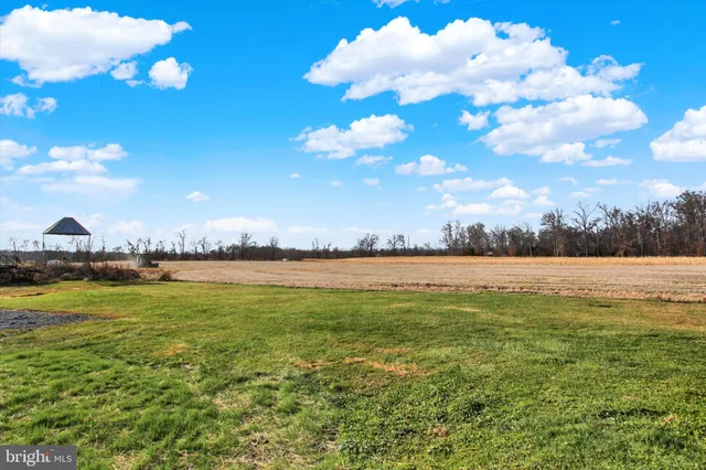 a swimming pool with trees in the background