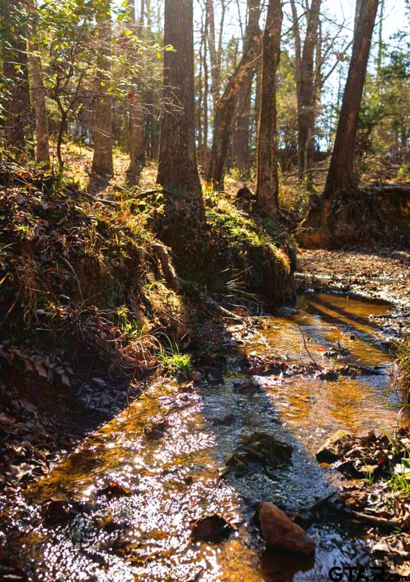 477 County Road 477 Lindale, TX 75771 - Photo 25 of 26 a view of outdoor space with trees