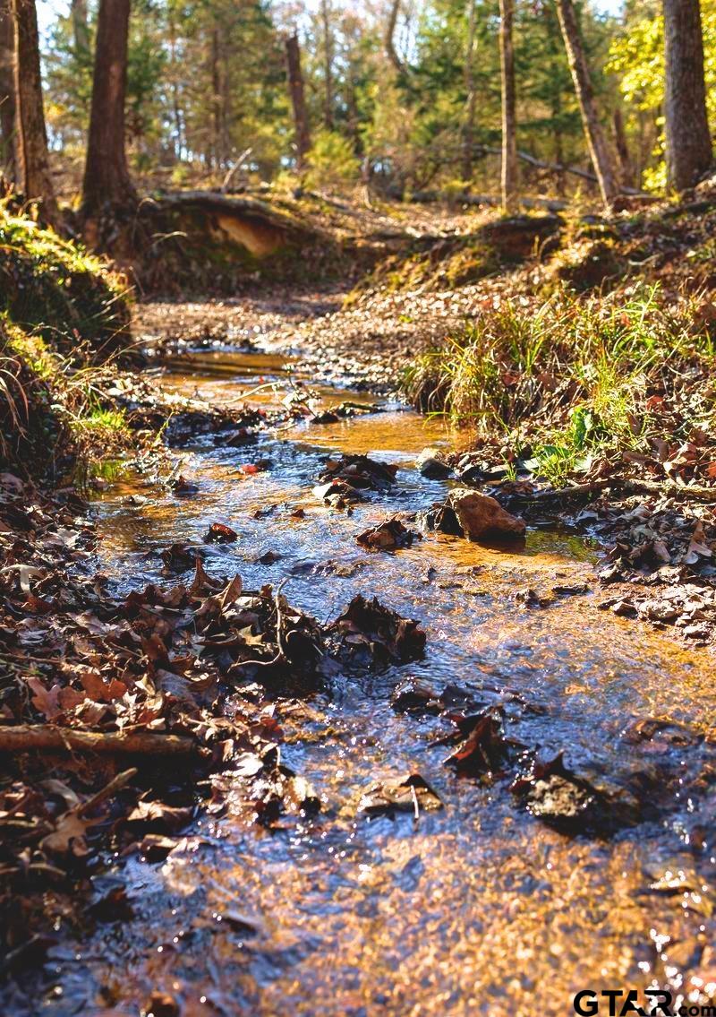 477 County Road 477 Lindale, TX 75771 - Photo 26 of 26 a view of a yard with houses