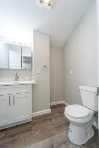 a bathroom with a sink a toilet and vanity