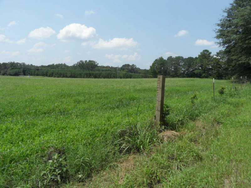 534 Quarters Road Fayetteville, GA 30215 - Photo 1 of 1
