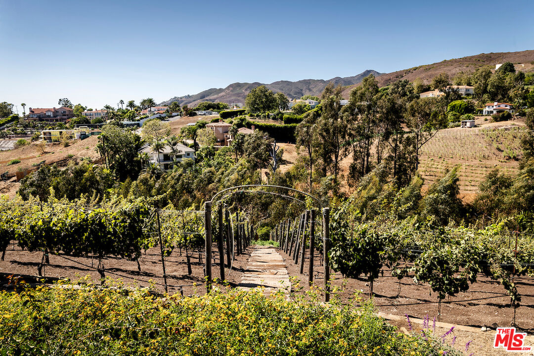 5931 Kanan Dume Road Malibu, CA 90265 - Photo 47 of 51