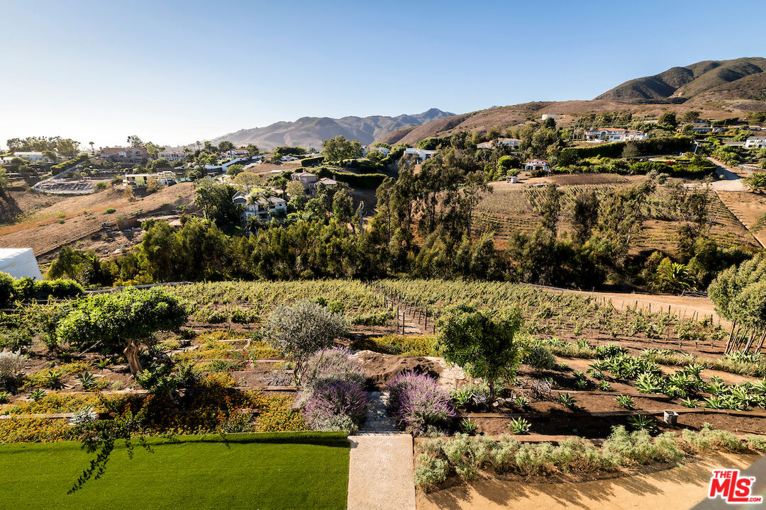 5931 Kanan Dume Road Malibu, CA 90265 - Photo 50 of 53 a view of a yard