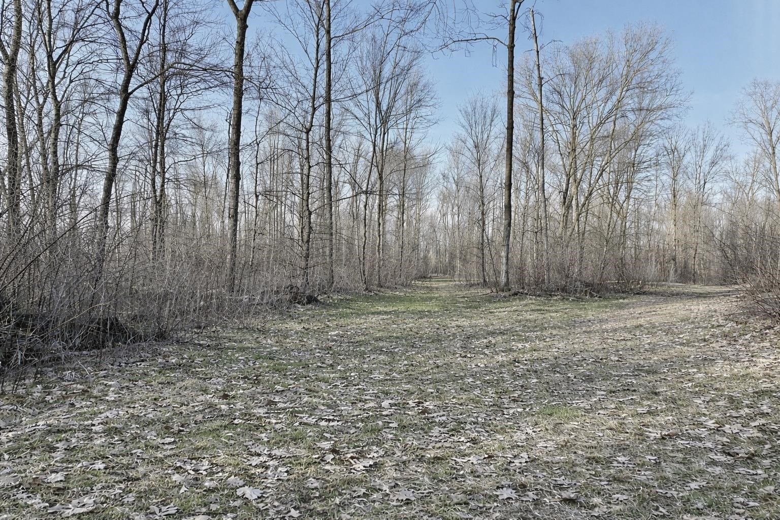 Lot 4 1/2 Barron, WI 54812 - Photo 2 of 10