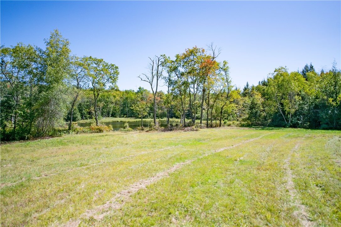 Terwilliger Road Livingston Manor, NY 12758 - Photo 5 of 10 Gallery Image 5