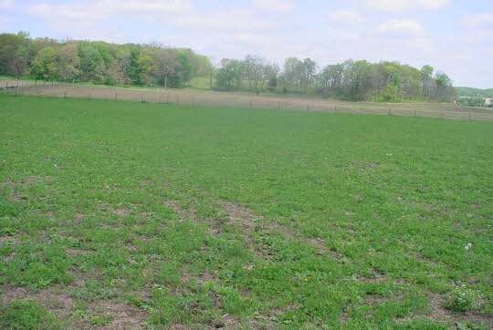 2364 West Pines Road Oregon, IL 61061 - Photo 5 of 8 a view of field with river and trees in the background
