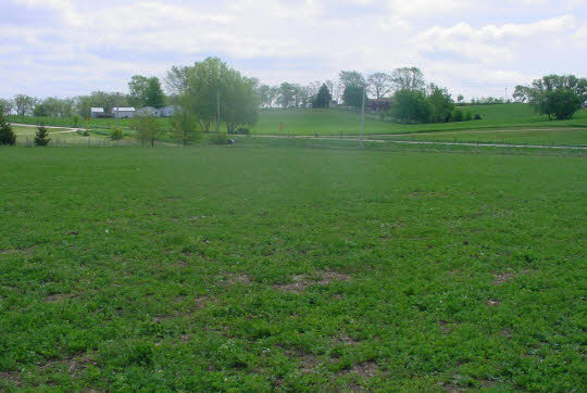 2364 West Pines Road Oregon, IL 61061 - Photo 6 of 8 a view of a green field with trees