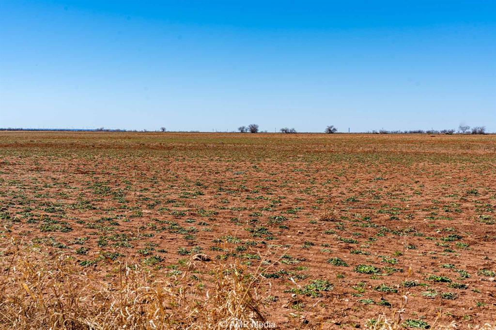 415 Merkel Tx 79536 Merkel, TX 79536 - Photo 4 of 7