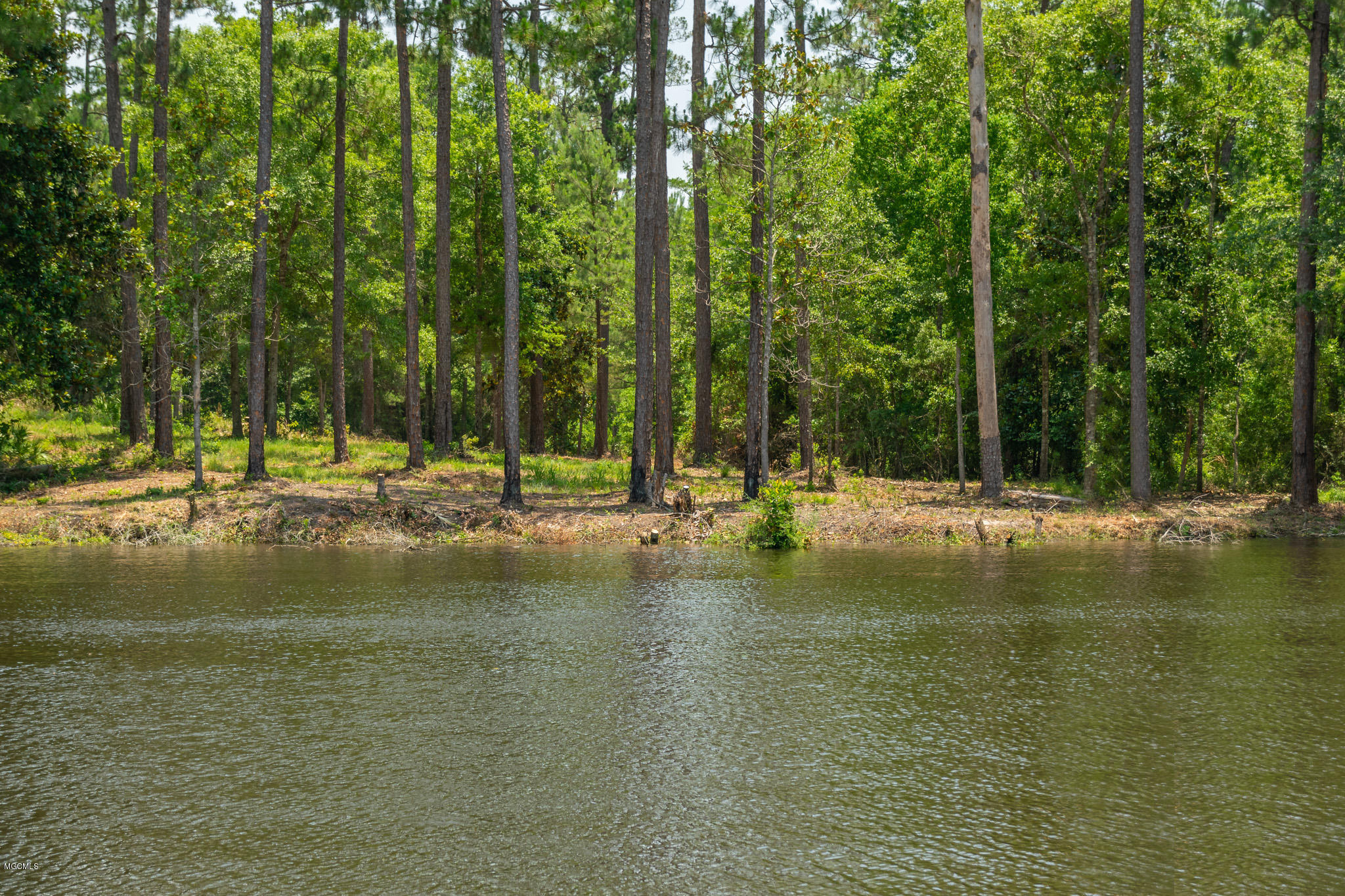 Parcel A Crump Road Kiln, MS 39556 - Photo 1 of 22 Ashman_Crump-Rd-Standard-Res-22