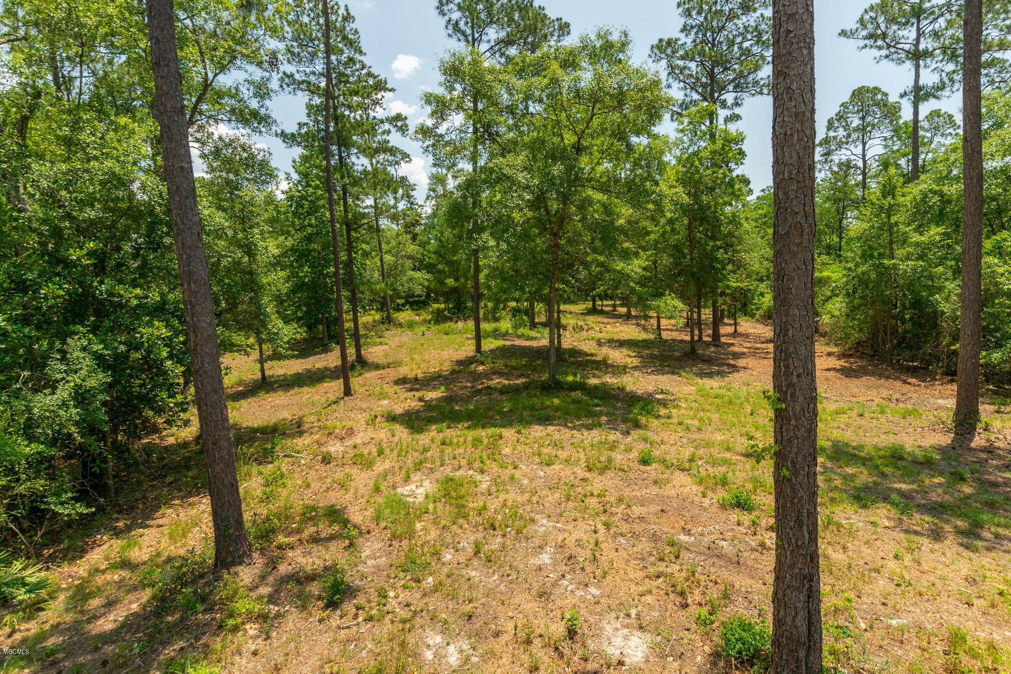Parcel A Crump Road Kiln, MS 39556 - Photo 18 of 22 Ashman_Crump-Rd-Standard-Res-16