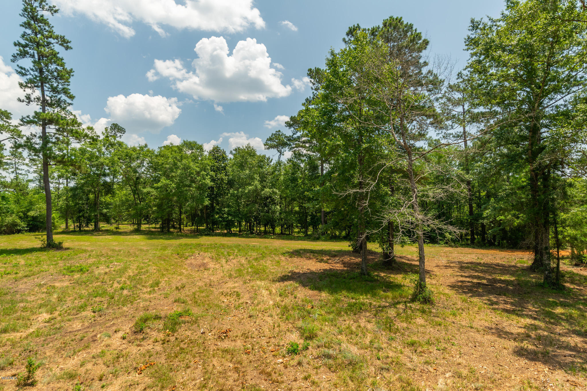 Parcel A Crump Road Kiln, MS 39556 - Photo 19 of 22 Ashman_Crump-Rd-Standard-Res-17